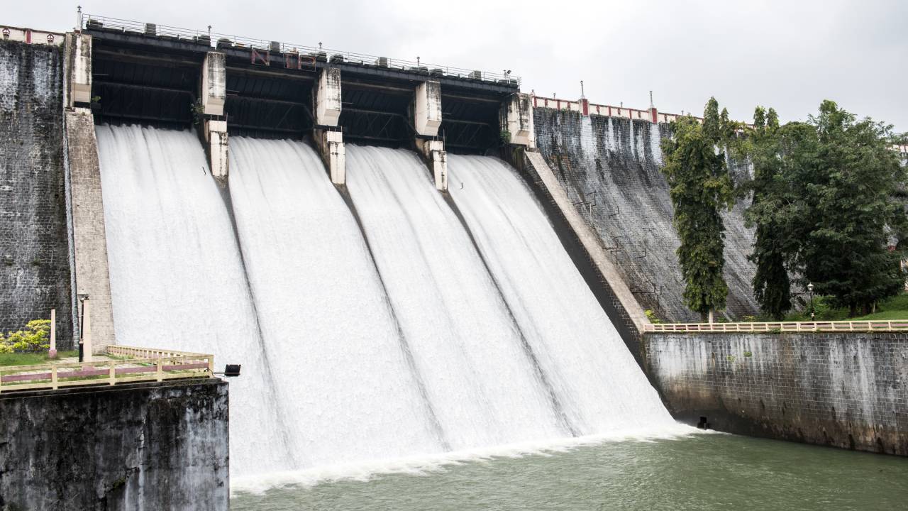 Invest in Assam Explore Business Opportunities in Assam IIG